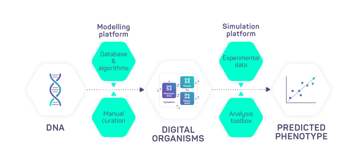 Schéma de fonctionnement de la technologie imean