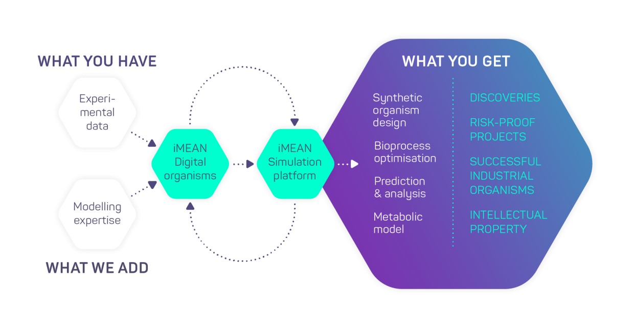 iMEAN-biotech-workflow_horizontal