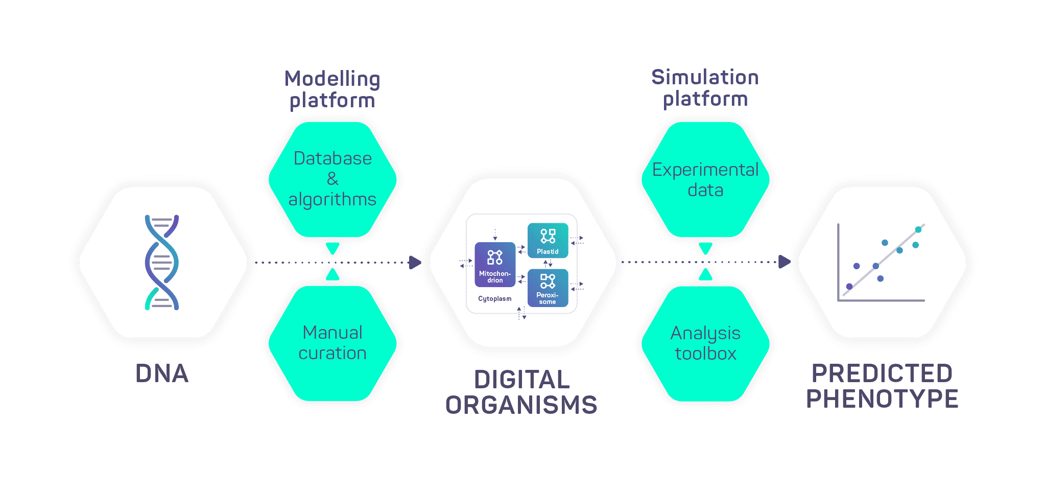 iMEAN biotech workflow