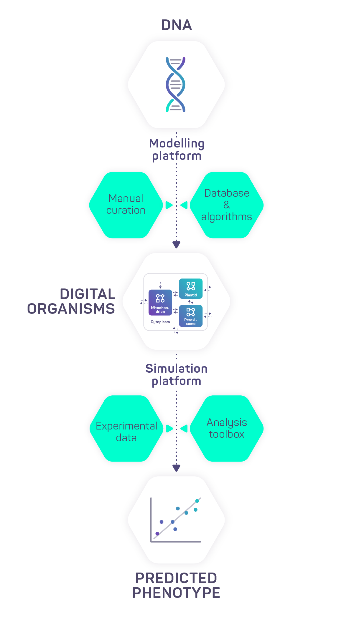 iMEAN biotech workflow