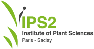 logo2-IPS2