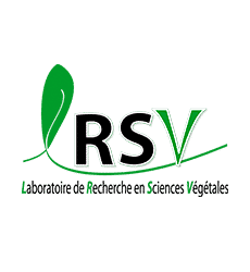 logo_LRSV